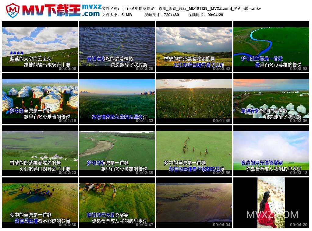叶子-梦中的草原是一首歌_国语_流行_MD101129